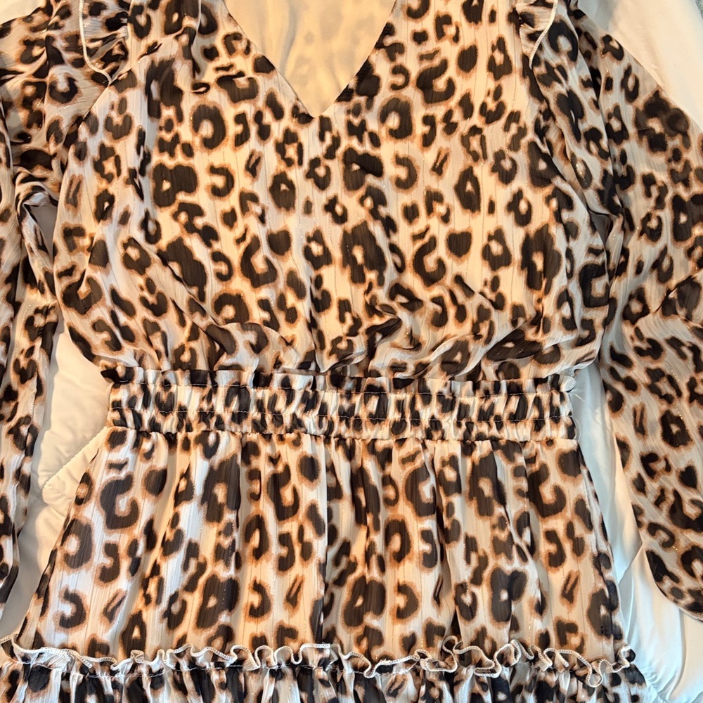 The Impeccable Pig dress